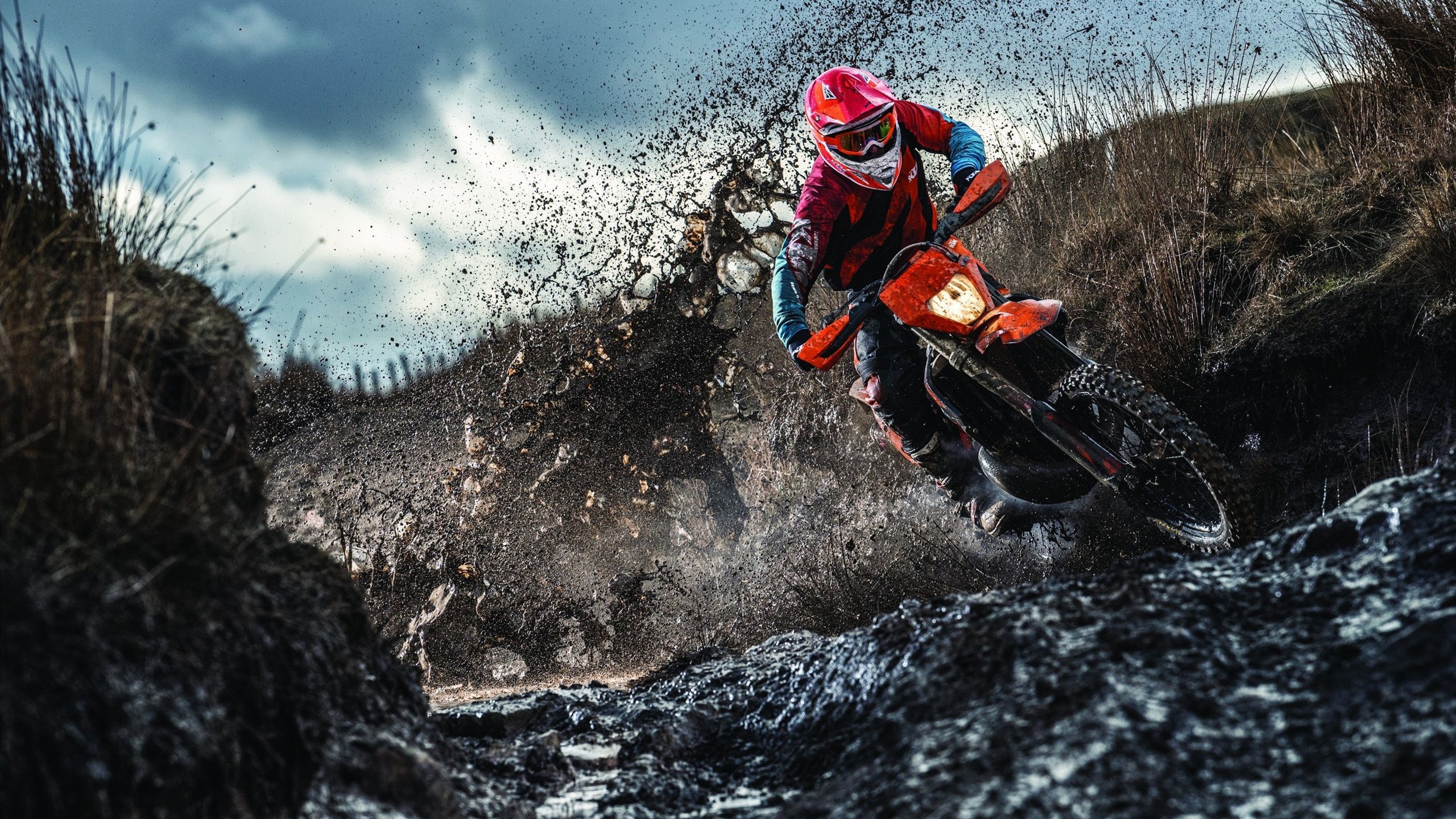 开云APP-赛道交响曲,梅赛德斯精密战术如何碾压法拉利,汉密尔顿的领袖艺术奏响凯歌